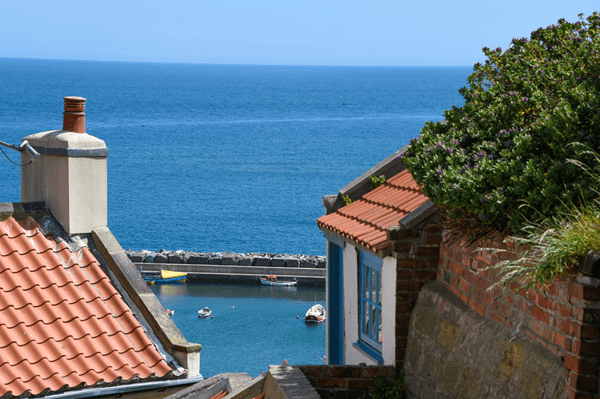 Rental Properties